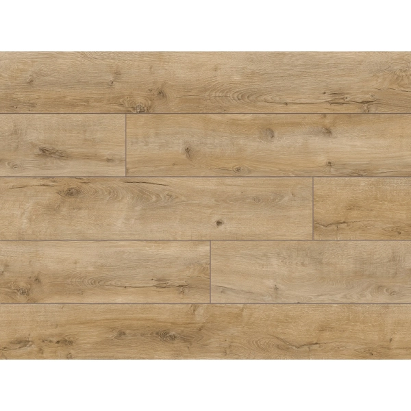 Panele podłogowe Dąb Baikal 56620 AC5 8 mm Trend 4V, Classen