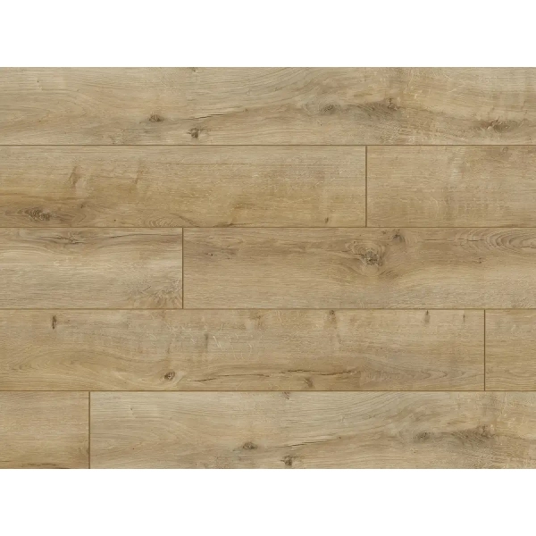 Panele podłogowe Dąb Baikal 56620 AC5 8 mm Trend 4V, Classen