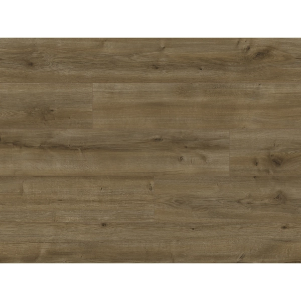 Panele podłogowe Dąb Siena 64981 AC5 8 mm Life 4V, Classen