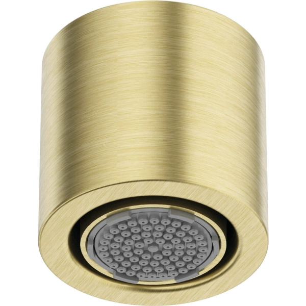 Główka prysznicowa 1-funkcyjna, Deante, złoto szczotkowane