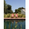 Fotel ogrodowy z podłokietnikami NET CORALLO czerwony, Nardi