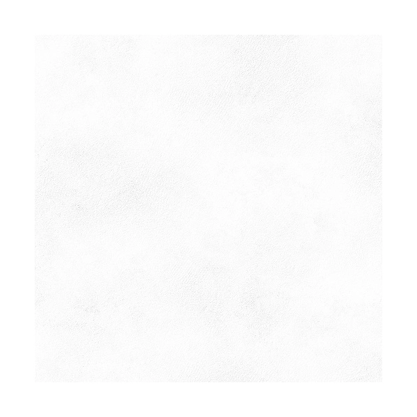 Płytka ścienno-podłogowa PLANET 60X60 R10 White Peronda