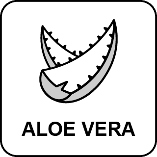 Pokrowiec Aloe Vera